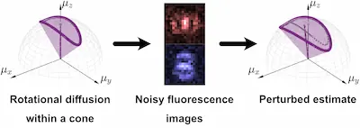 Fundamental Limits in Measuring the Anisotropic Rotational Diffusion of Single Molecules